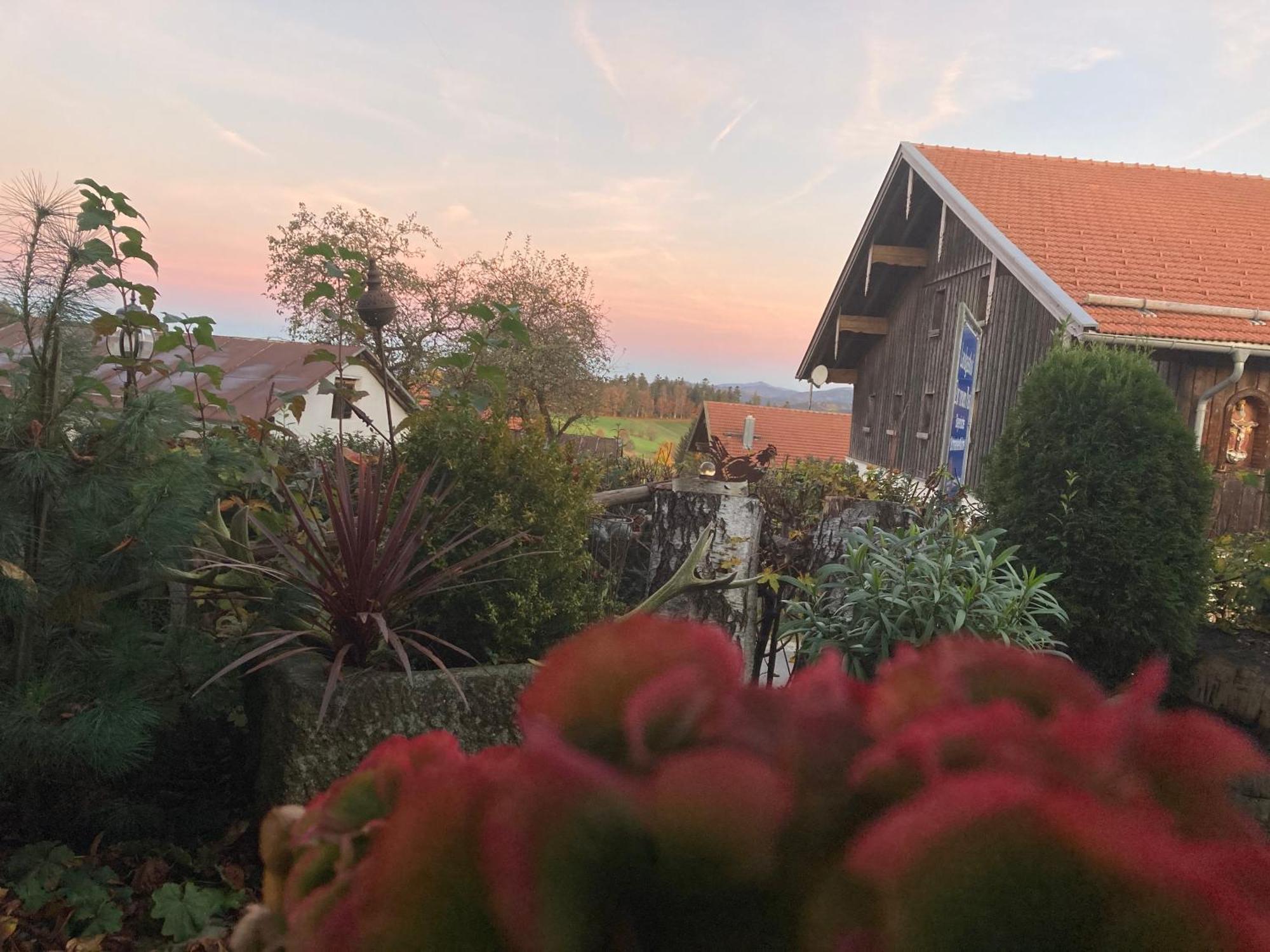 Zur neuen Post Landgasthof Herzogsreut Exterior foto