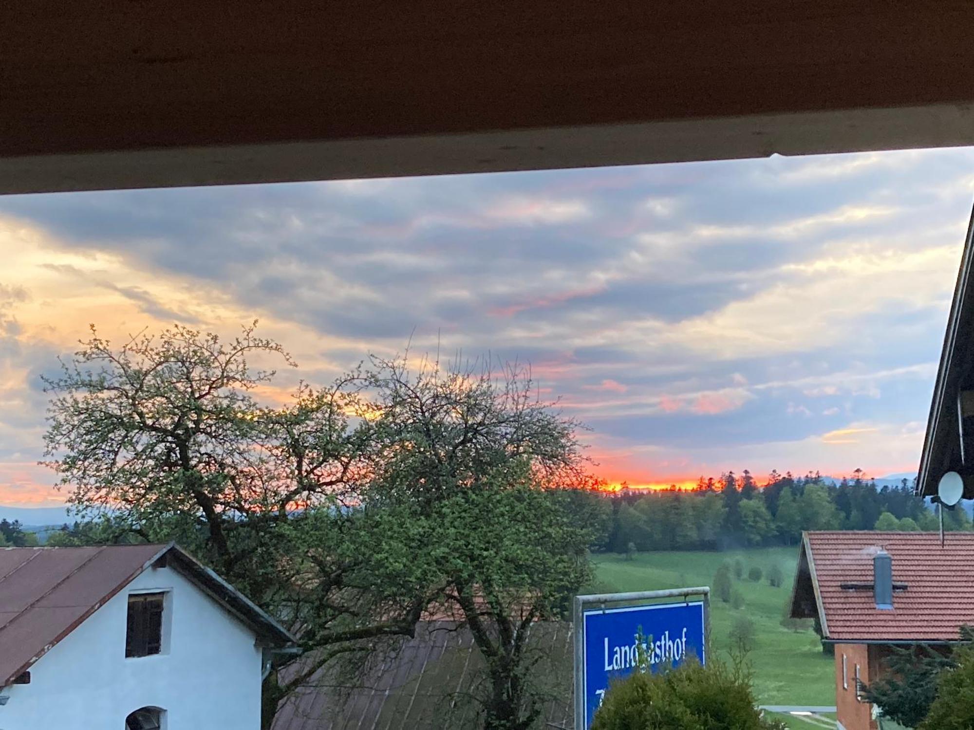Zur neuen Post Landgasthof Herzogsreut Exterior foto